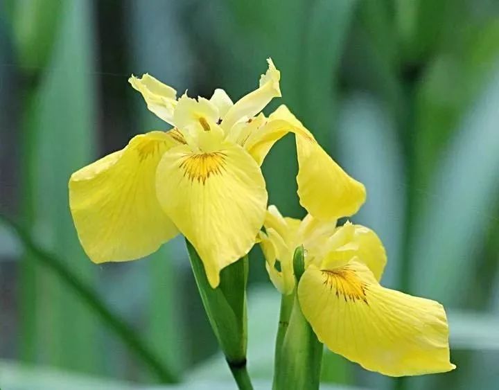 办公家具流行色