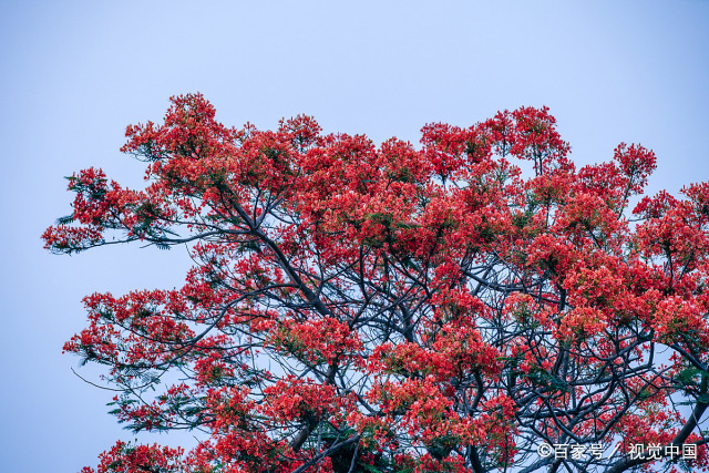 办公家具流行色